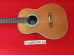 OVATION MODEL 1613